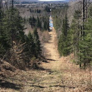 A trail going down a hill in the Maine woods. Hiker photo.
